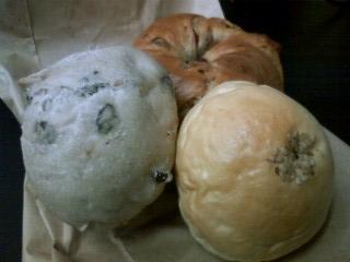 hive_bread.JPG