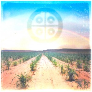 hopi_omote02