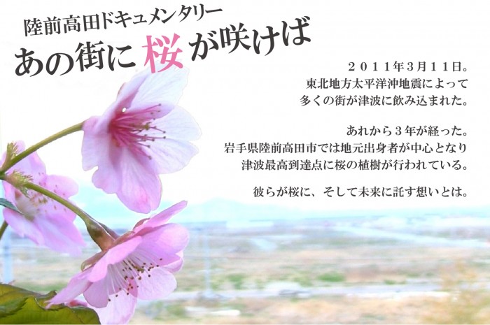 陸前高田ドキュメンタリー『あの街に桜が咲けば』上映会 あのさく広報3