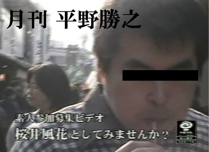 『月刊 平野勝之』(第六回)『桜井風花としてみませんか?』 ひらのめいん