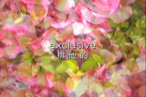 nishiyama001