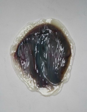 ryutaiwashita