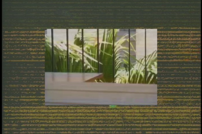 LoVid_cell-a-scape.mov2