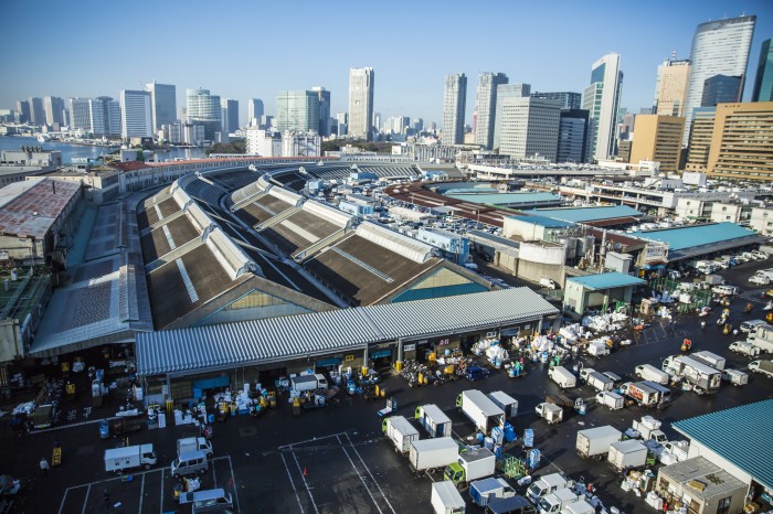TSUKIJI WONDERLAND_サブ2