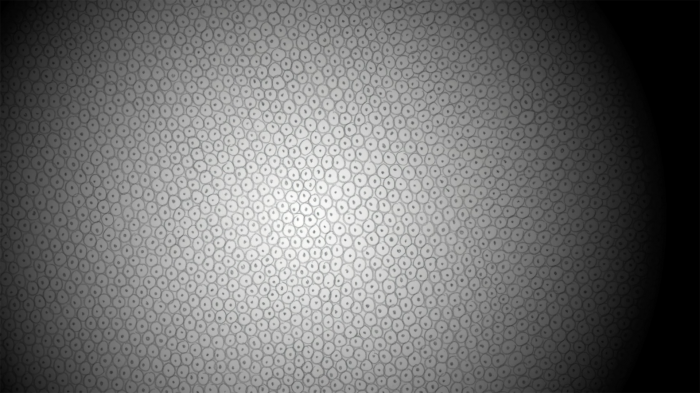 04_SCOPE