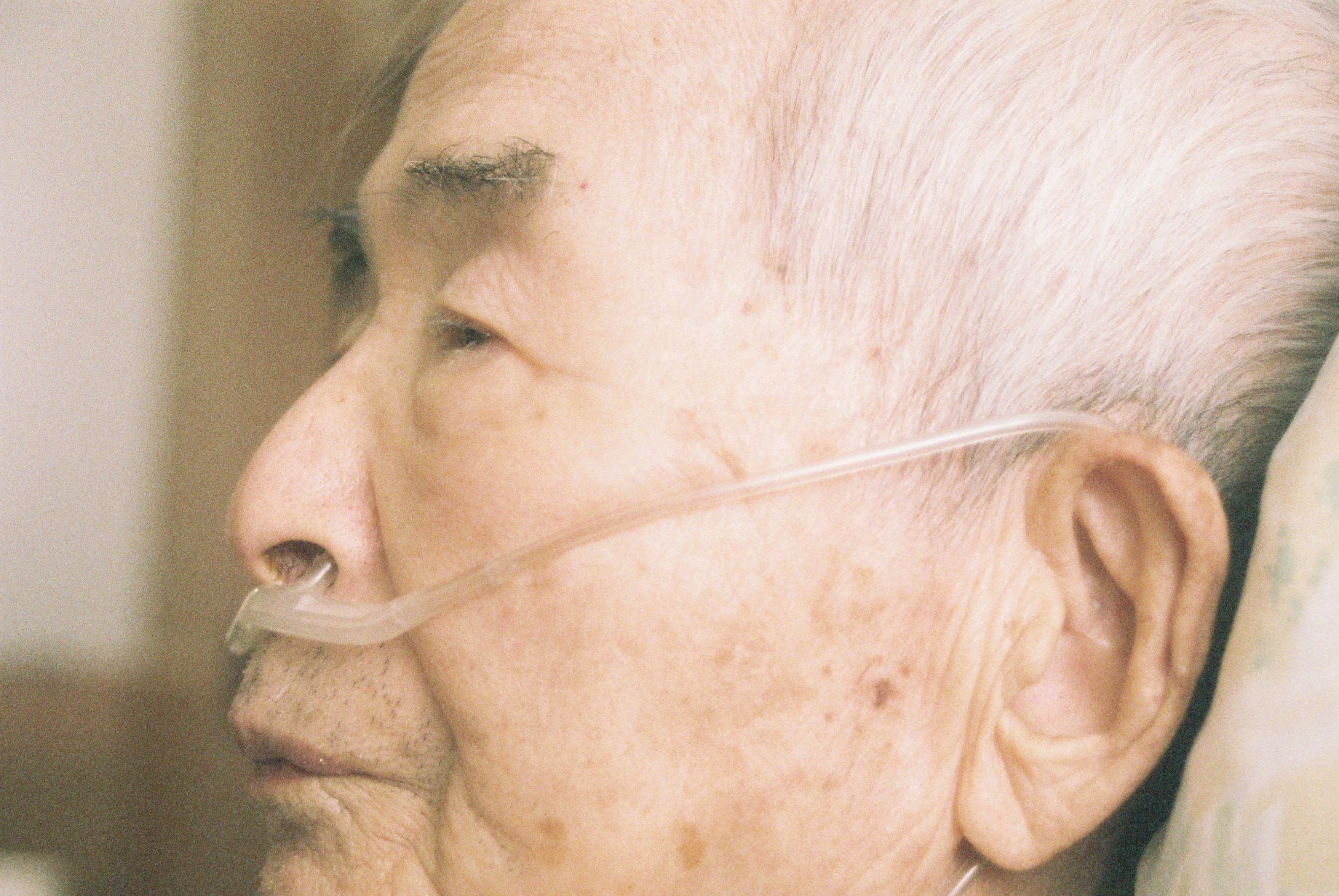 MOROHA003