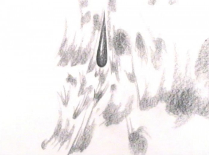 58-dot-s