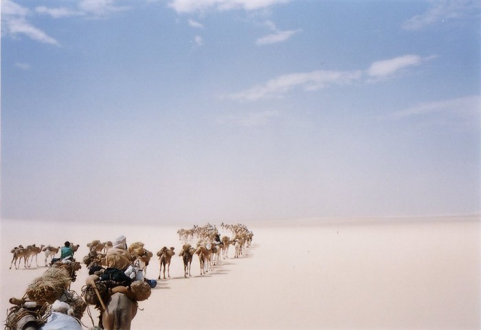CaravanToTheFuture_main