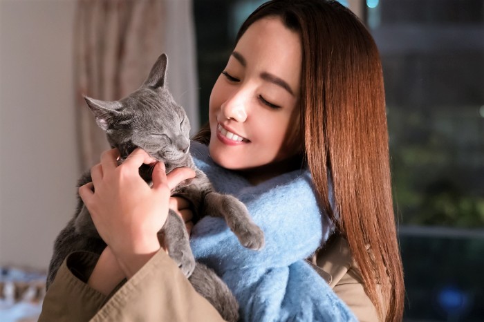 『猫は抱くもの』 メインs