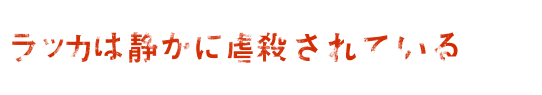 映画『ラッカは静かに虐殺されている』