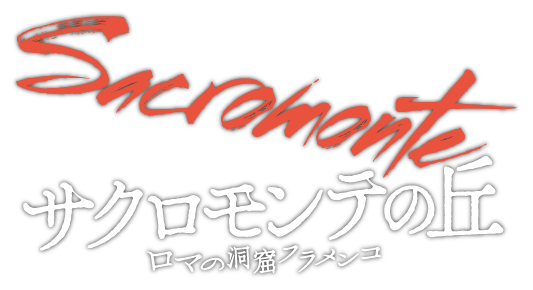 映画『サクロモンテの丘～ロマの洞窟フラメンコ』