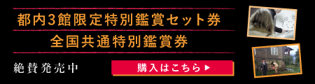 都内3館限定特別鑑賞セット券＆全国共通特別鑑賞券 絶賛発売中